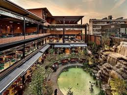 Increasing Popularity of Outdoor Spaces
