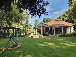 Affordable Outdoor Venues
