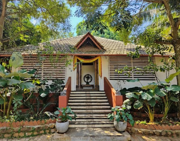 The Peacock Grove 11