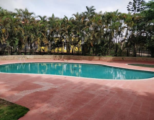 Luscious Lawns Listing Category Behind Wood Resort behind woodwebp